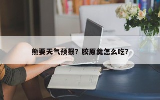 熊要天气预报？胶原羹怎么吃？