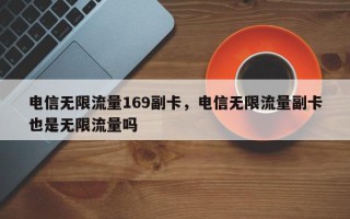 电信无限流量169副卡，电信无限流量副卡也是无限流量吗