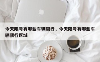 今天限号有哪些车辆限行，今天限号有哪些车辆限行区域