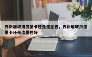 去新加坡用流量卡还是流量包，去新加坡用流量卡还是流量包好