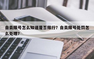 自贡限号怎么知道是否限行？自贡限号处罚怎么处理？