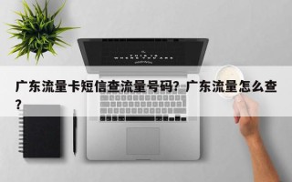 广东流量卡短信查流量号码？广东流量怎么查？