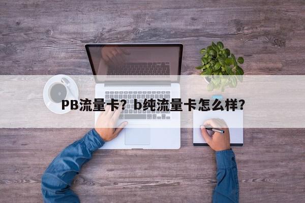 PB流量卡？b纯流量卡怎么样？-第1张图片