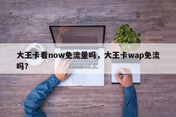 大王卡看now免流量吗，大王卡wap免流吗？-第1张图片