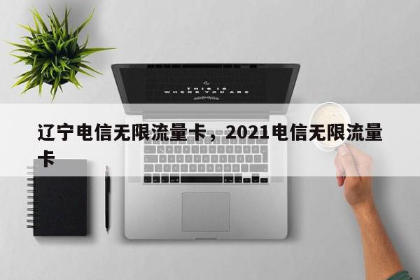 辽宁电信无限流量卡，2021电信无限流量卡-第1张图片