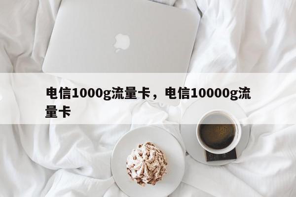 电信1000g流量卡，电信10000g流量卡-第1张图片