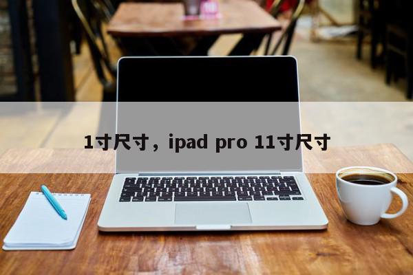 1寸尺寸，ipad pro 11寸尺寸-第1张图片