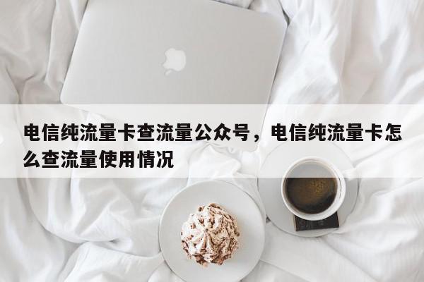 电信纯流量卡查流量公众号，电信纯流量卡怎么查流量使用情况-第1张图片